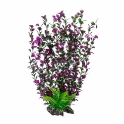 Plastväxt Spikewort grön med lila detaljer 55 cm