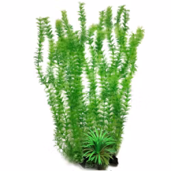 Plastväxt Cabomba green 55 cm