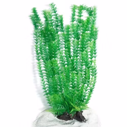 Plastväxt Cabomba green 55 cm