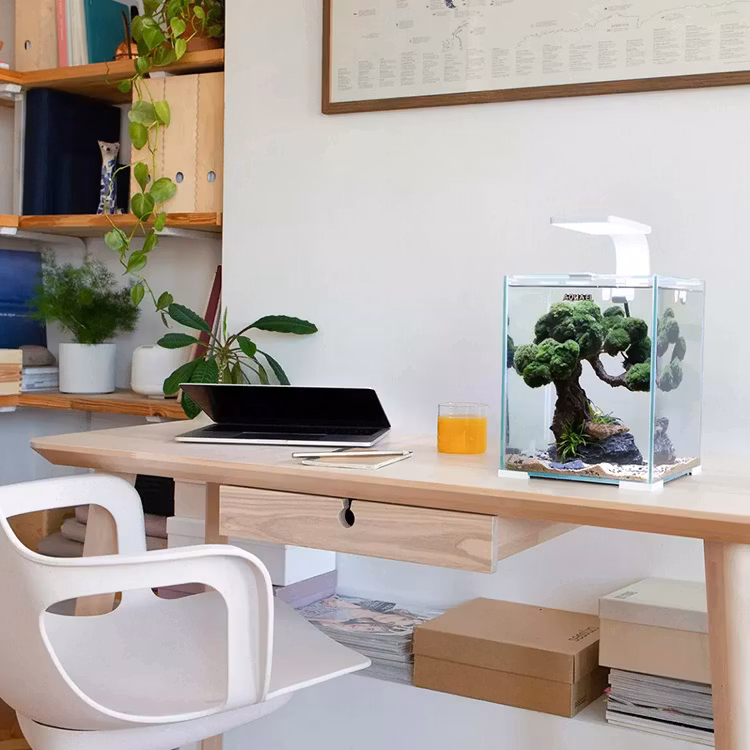 Aquael Fish & Shrimp Day&Night - 30L