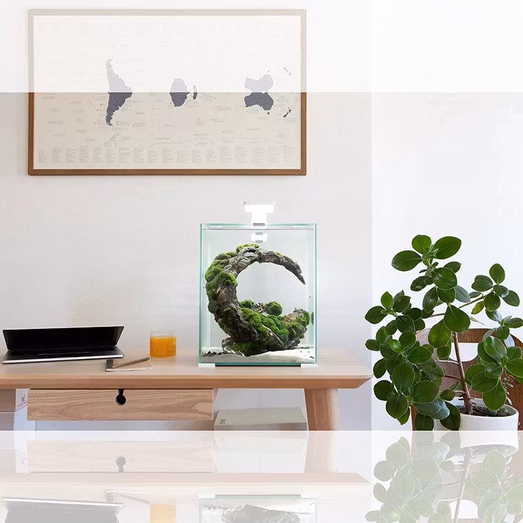 Aquael Fish & Shrimp Day&Night - 30L