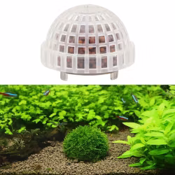 Mosskupol