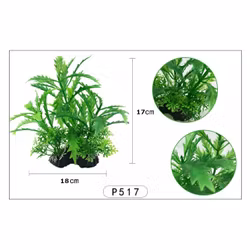 Plastväxt Pinnatifida green 17 cm