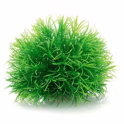 Mossboll Grön Stor - Taxiphyllum Alternans