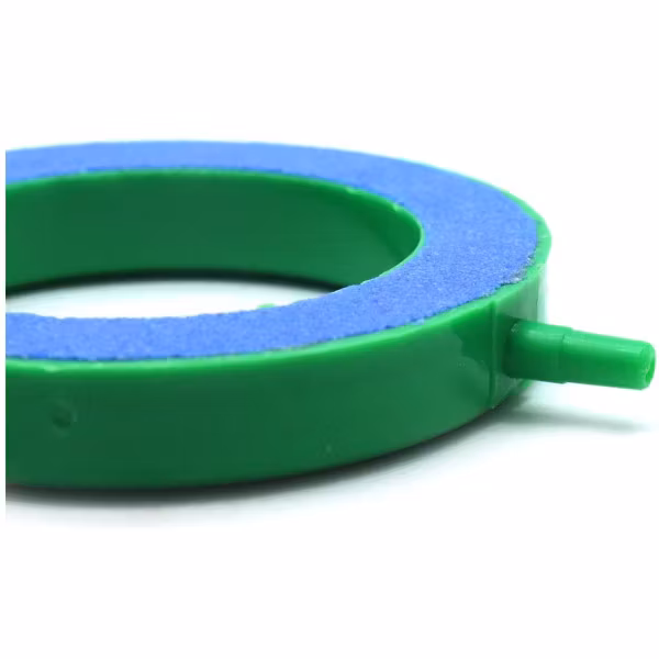 Platt syresten ring - Large for akvarium