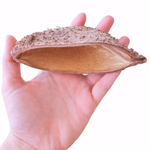 bolsa pod vattenkemi vattenberedning naturprodukter akvarium natur bolsa skal
