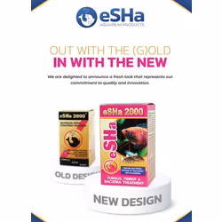 eSHa 2000
