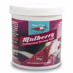Shrimps Forever - Mulberry