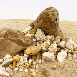 Detaljsten - Ljusa nyanser - Pale Accent