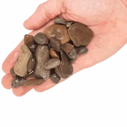 Akvariegrus - Elderly 3-40mm