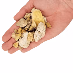 Akvariegrus - White Adder 15-50mm