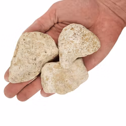 Nano sten - White Adder boulder - 10-20 st