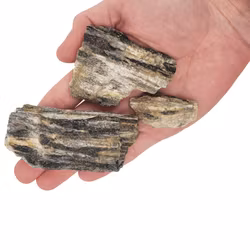 Nano sten - Grey Fossil wood rock - 8-15 st