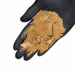 Golden Dragon Riverbed