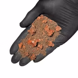 Wild Crikey Riverbed