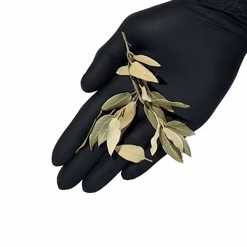 Holm oak leaves - 20g
