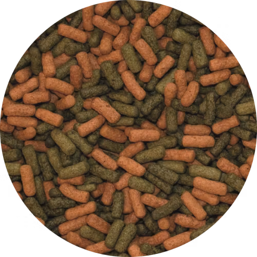 Cichlid Red & Green Large Sticks 1000 ml