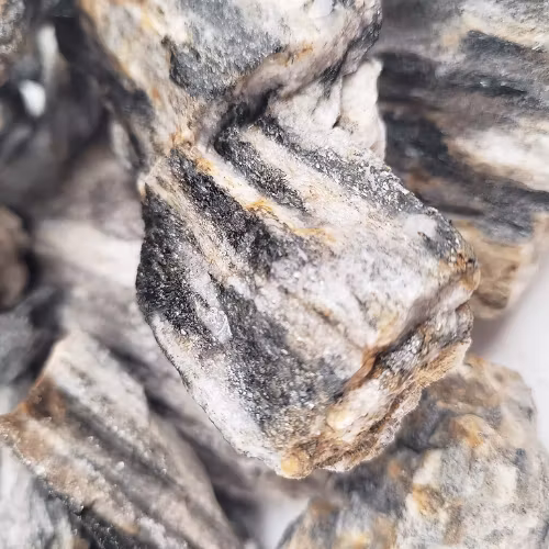 Sten - Grey Fossil Wood Rock - Stenpaket