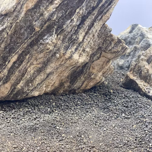 Sten - Grey Fossil Wood Rock - Stenpaket