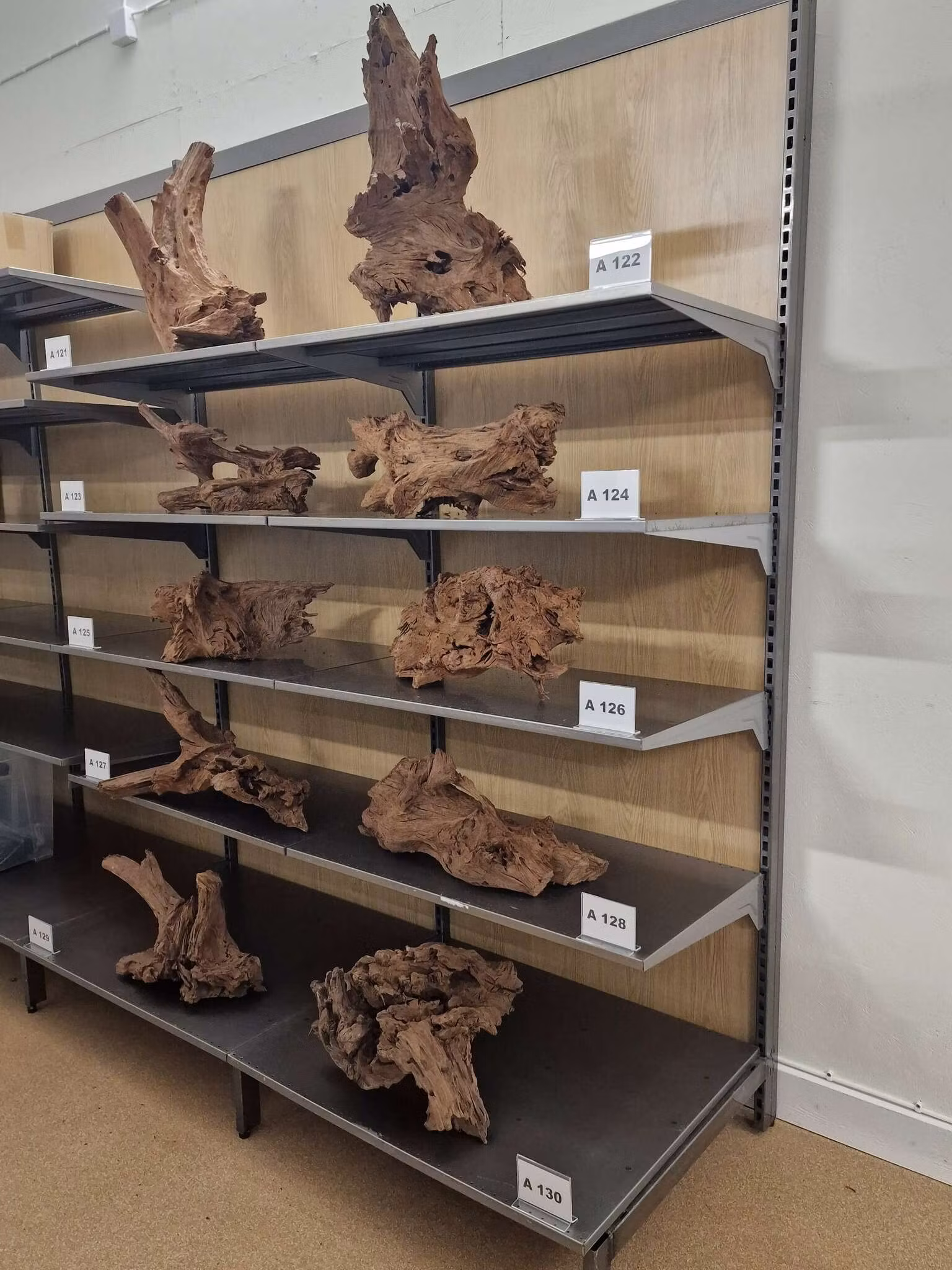 Mangroverötter XXL 50-65 cm Köp roten på bilden