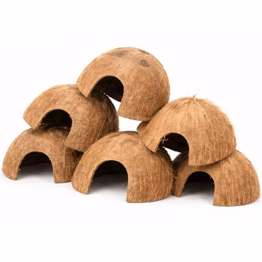 Kokosnöt grotta 1 st