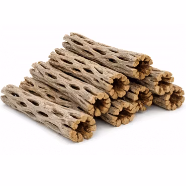 Cholla wood - Kaktusträ 8-10 cm
