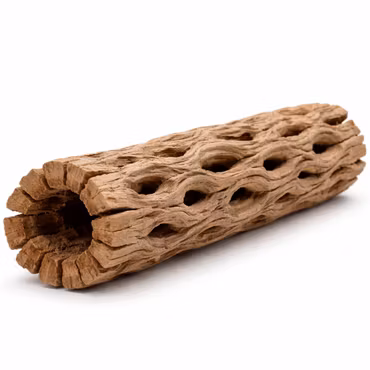 Cholla wood - Kaktusträ 14-17 cm