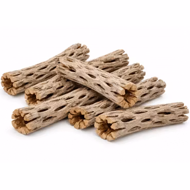 Cholla wood - Kaktusträ 14-17 cm