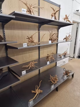 Driftwood 30-45 cm Köp roten på bilden