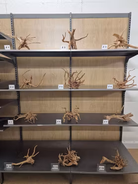 Driftwood 30-45 cm Köp roten på bilden