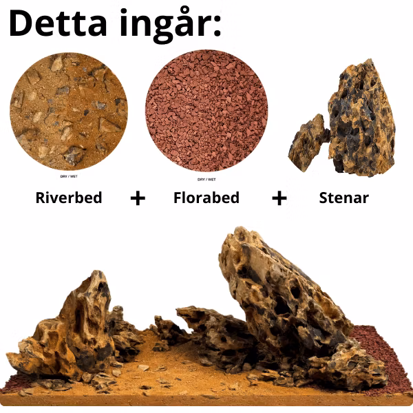 Amber Dragon River - Startkit