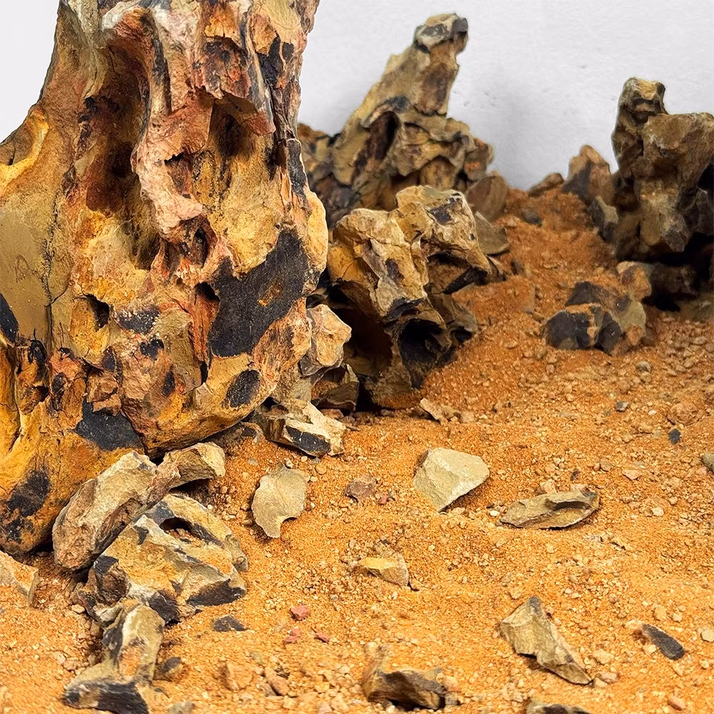 Amber Dragon River - Startkit