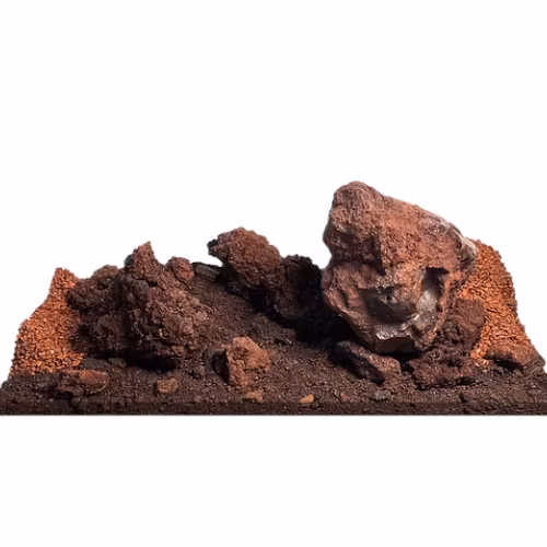 Lyckas med aquascape inspiration