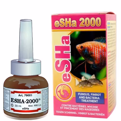 eSHa 2000