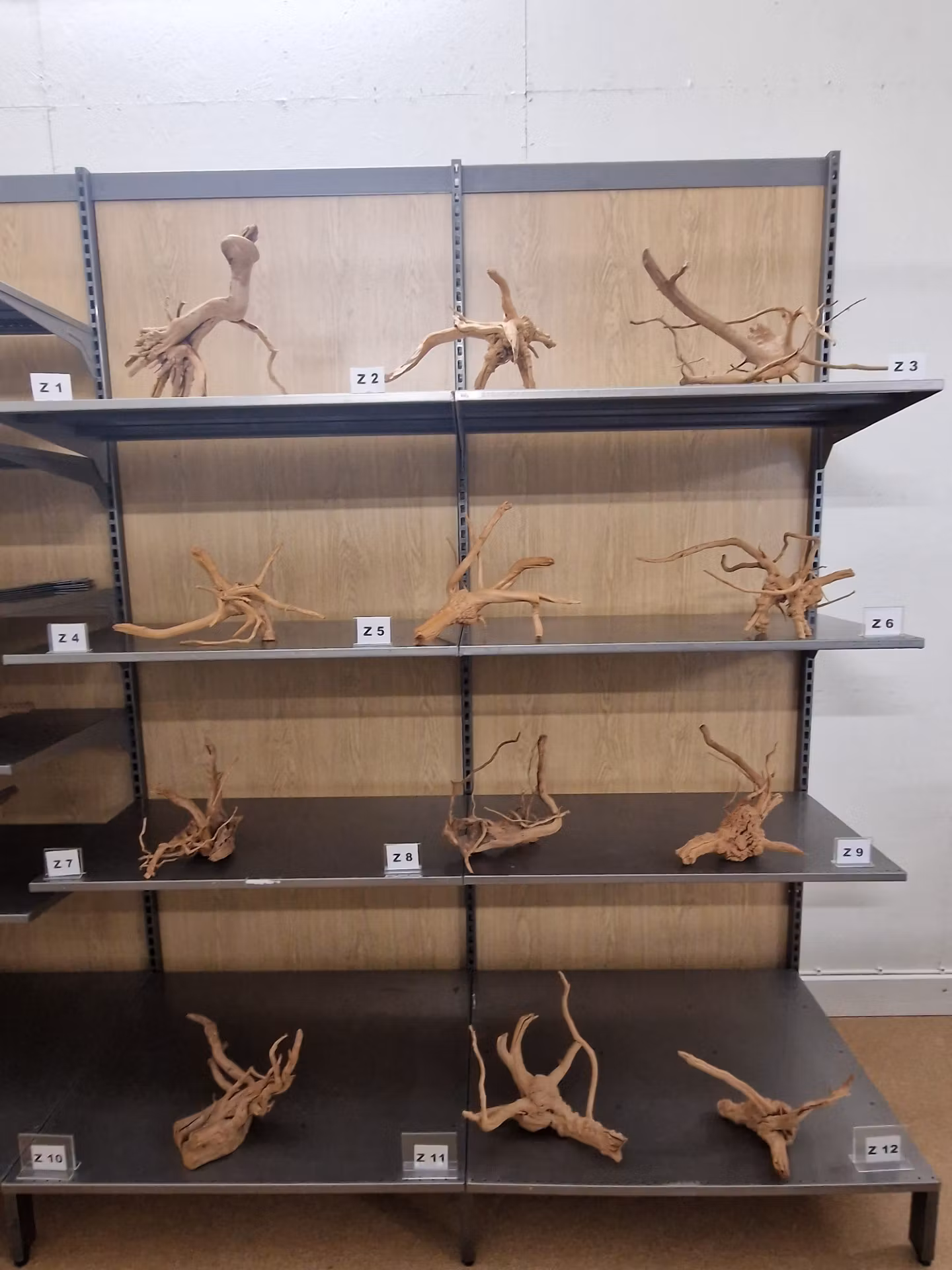 Driftwood 30-45 cm Köp roten på bilden