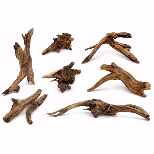 Detaljrötter - 7-9 st över 25 cm