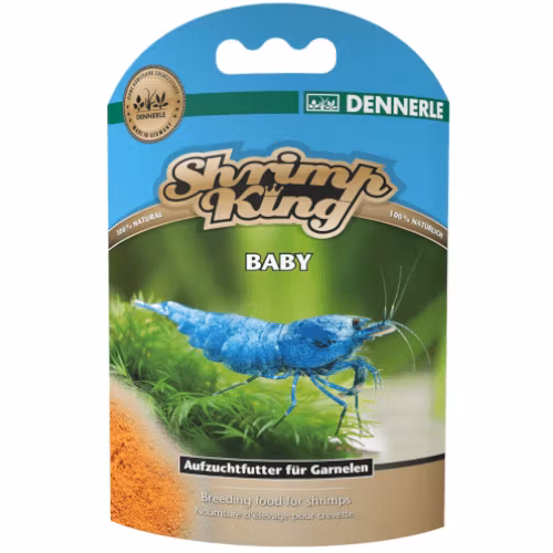 Shrimp King - Baby