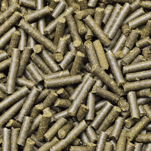 Shrimp King - Complete