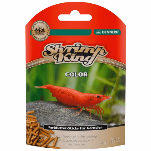 Shrimp King - Color