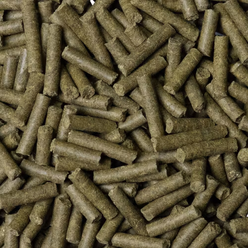 Shrimp King - Cambarellus