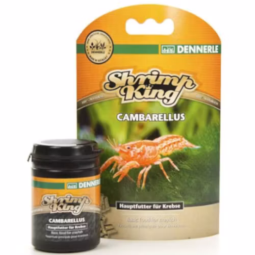 Shrimp King - Cambarellus
