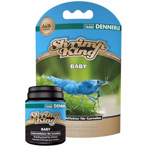 Shrimp King - Baby