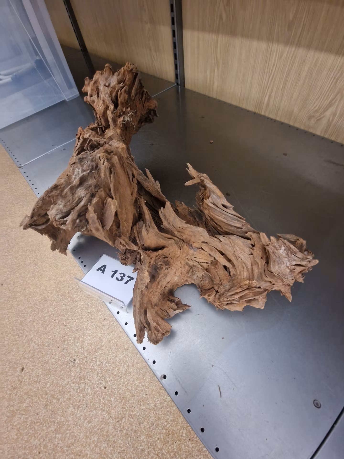 Mangroverötter XXL 50-65 cm Köp roten på bilden A131-138