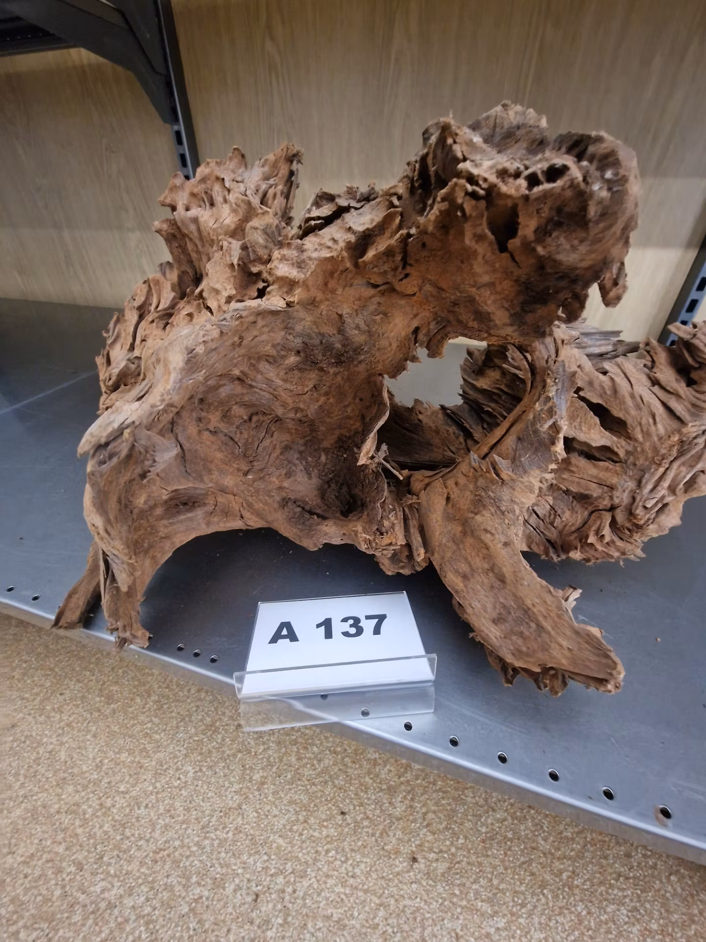Mangroverötter XXL 50-65 cm Köp roten på bilden A131-138