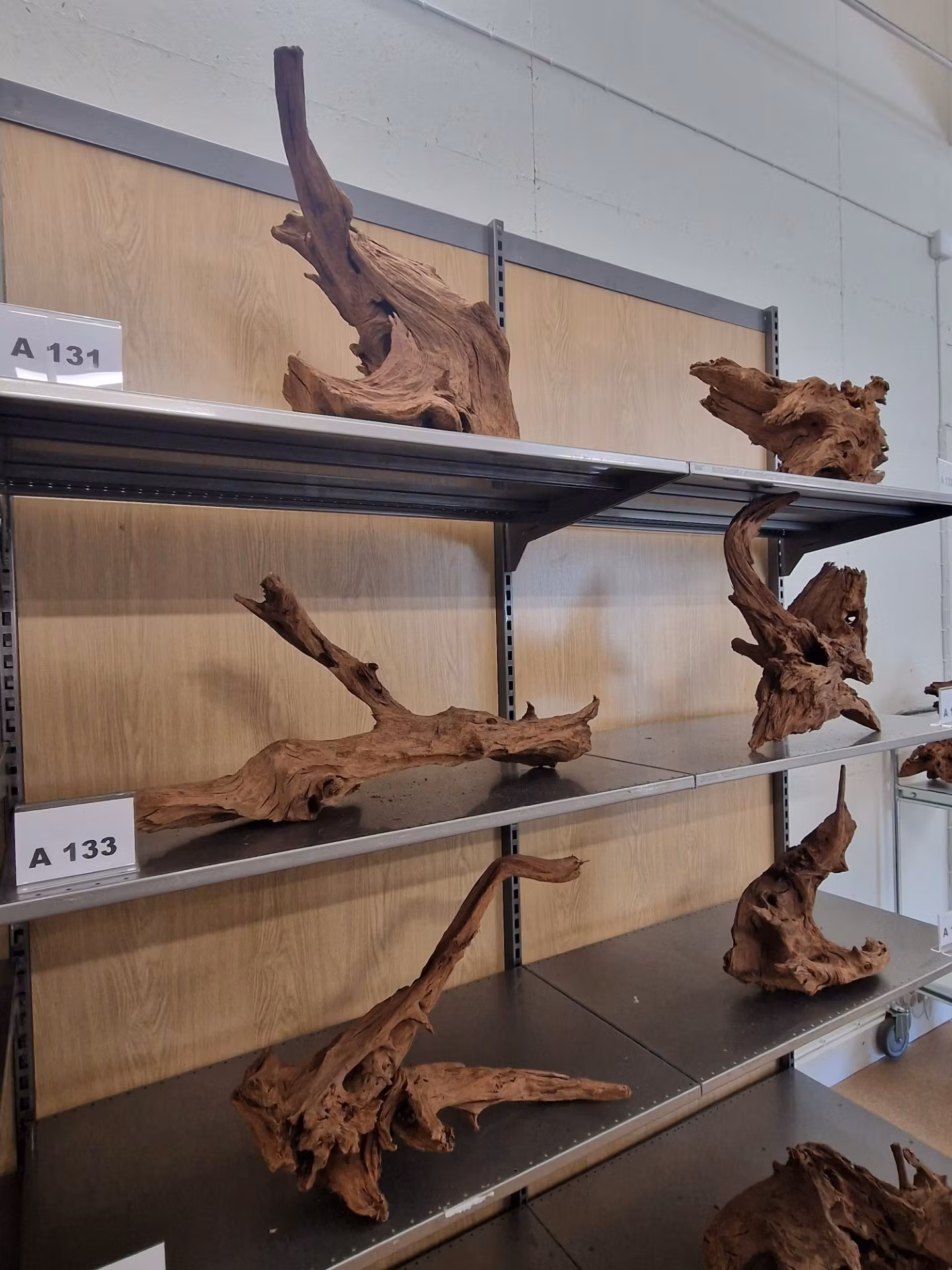 Mangroverötter XXL 50-65 cm Köp roten på bilden A131-138