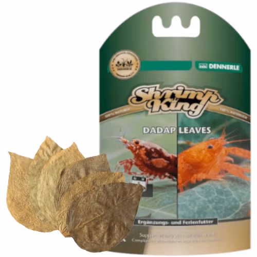 Shrimp King - Dadap Leaves