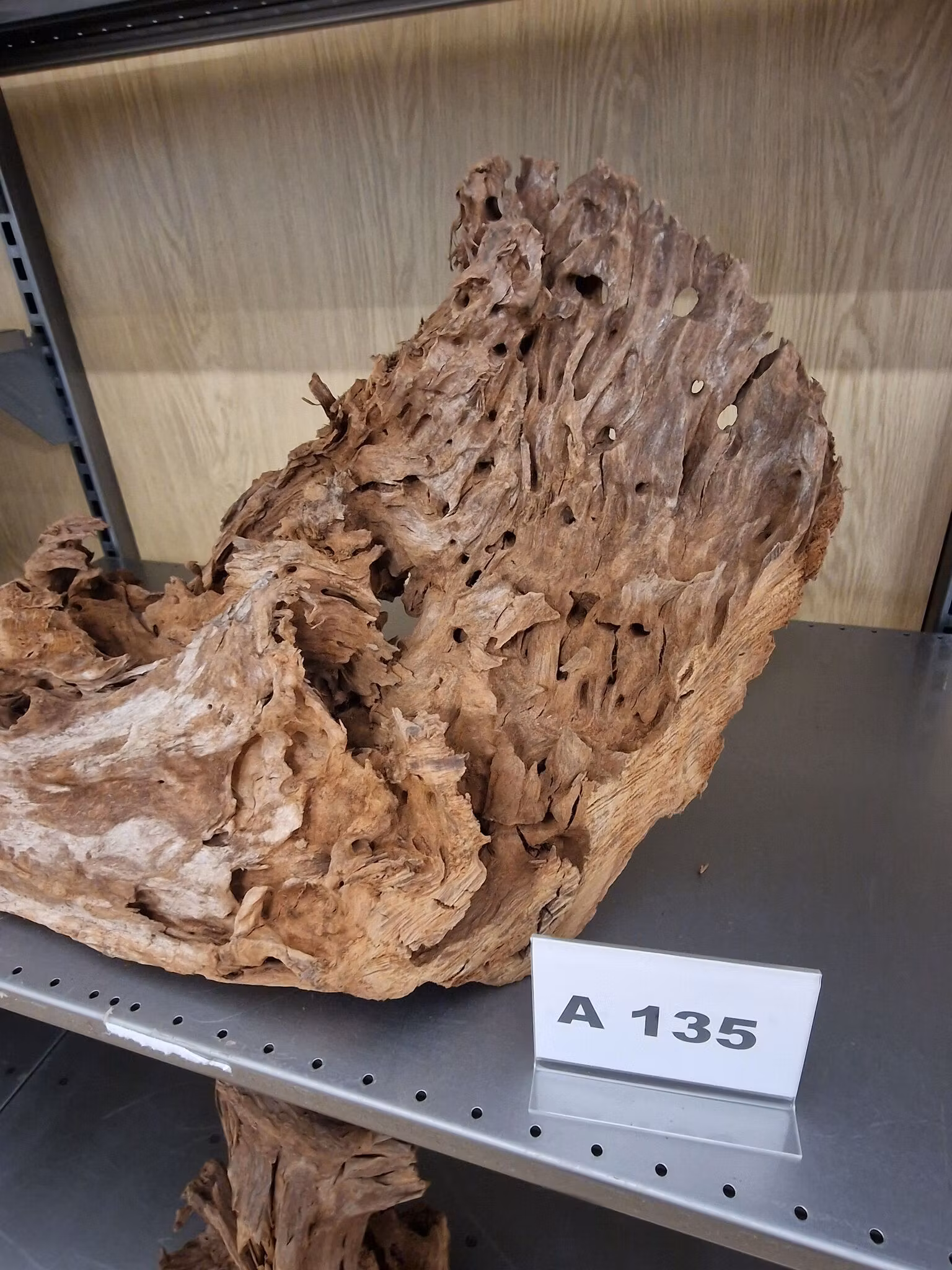 Mangroverötter XXL 50-65 cm Köp roten på bilden A131-138