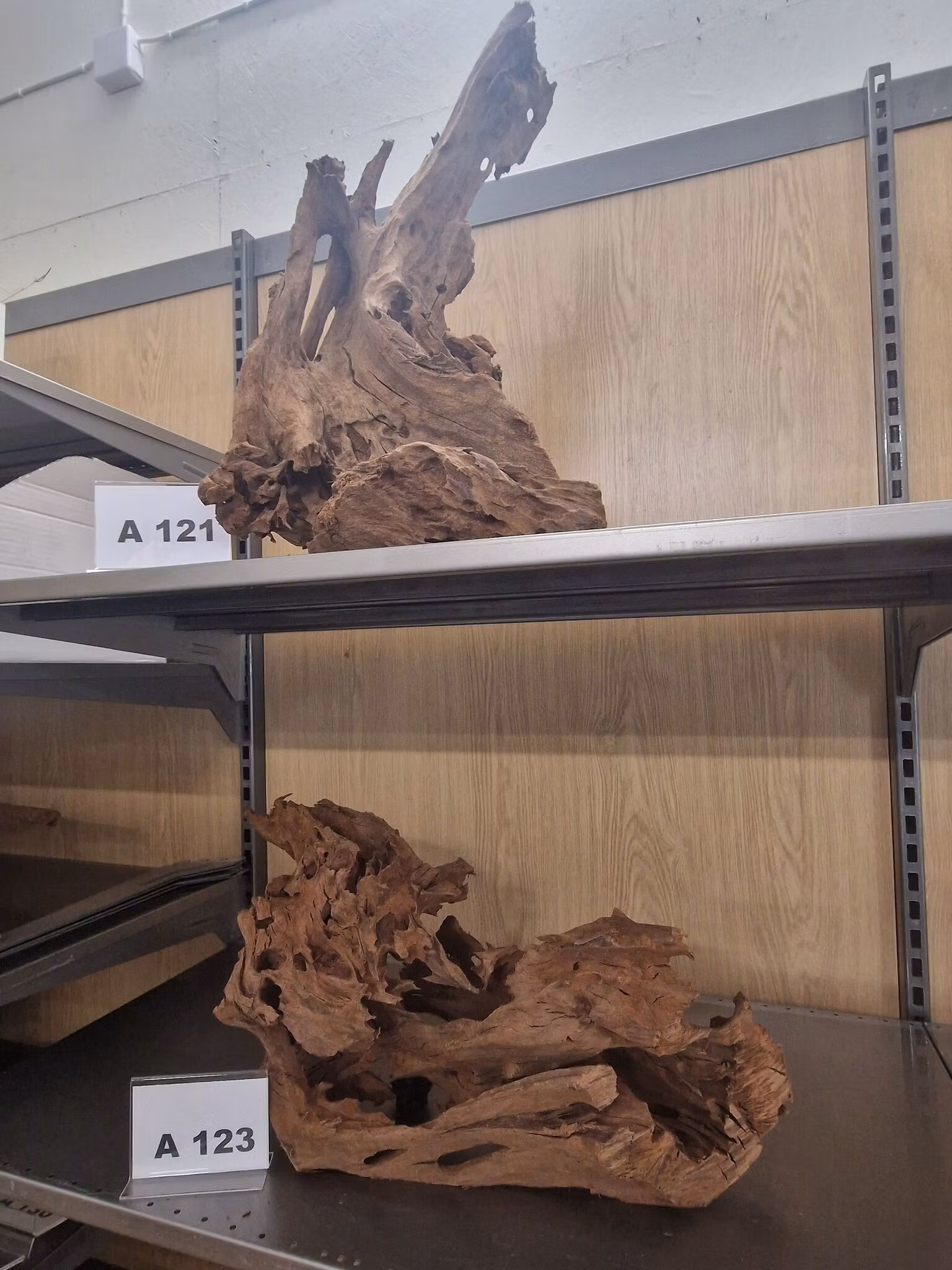 Mangroverötter XXL 50-65 cm Köp roten på bilden