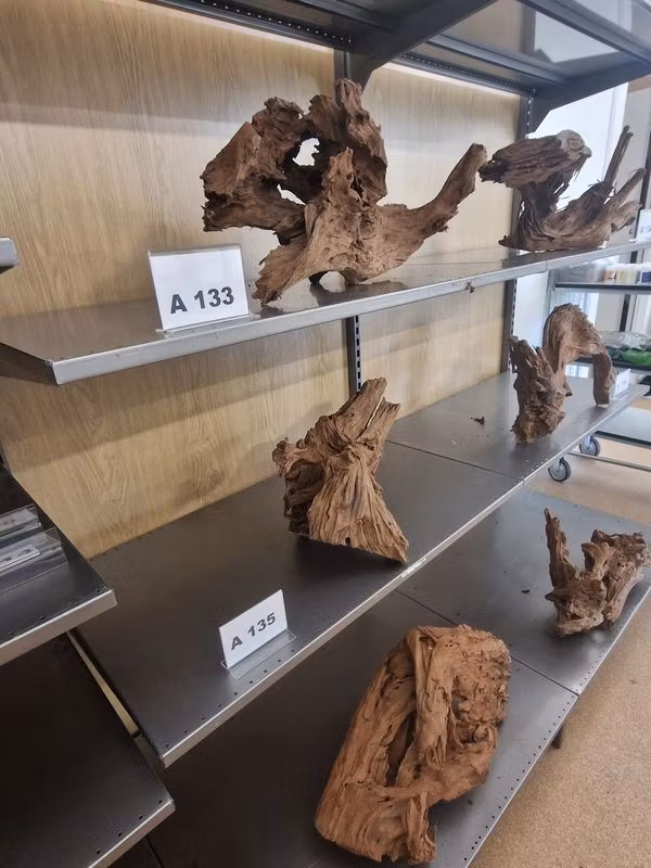 Mangroverötter XXL 50-65 cm Köp roten på bilden A131-138