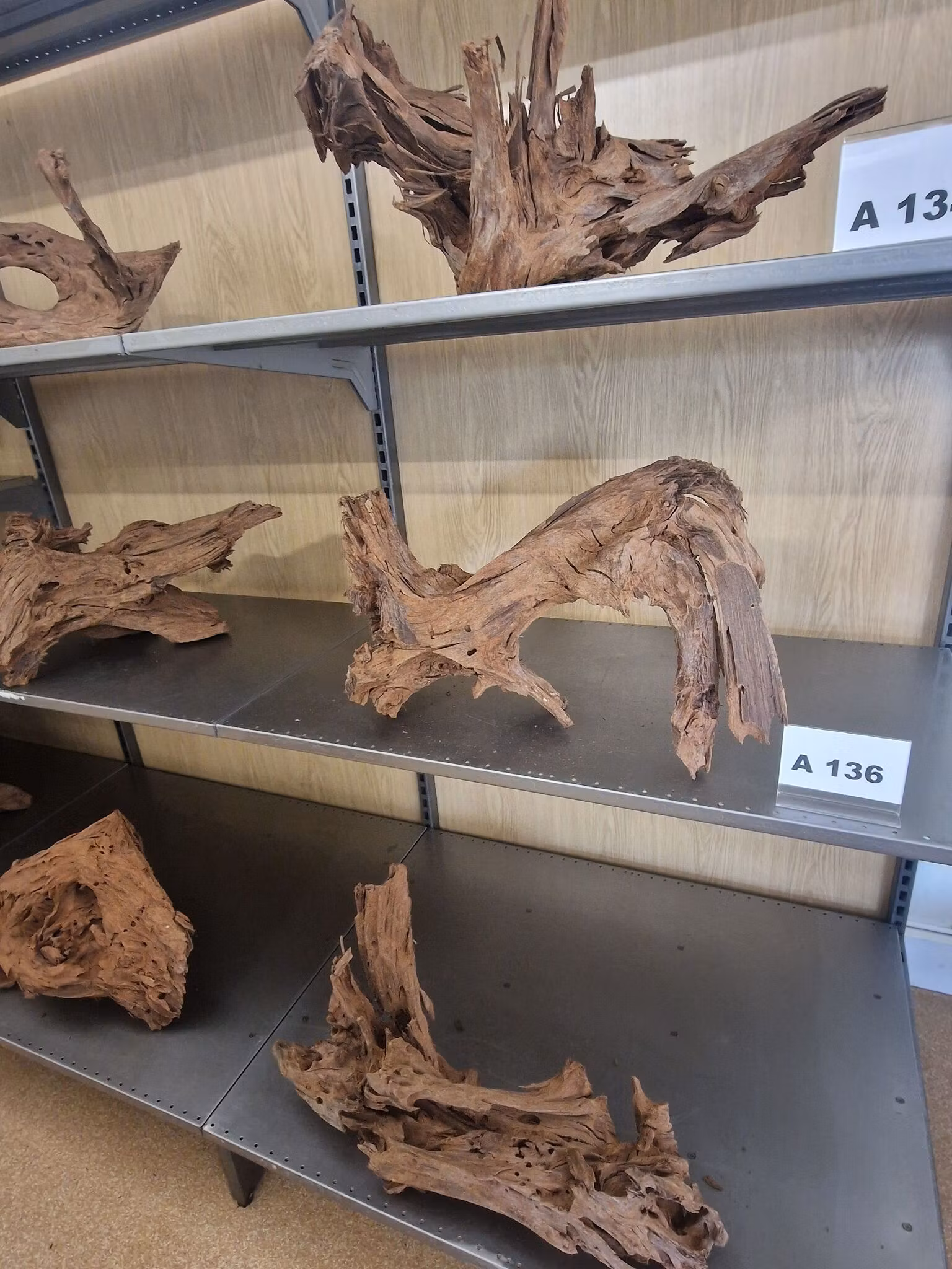 Mangroverötter XXL 50-65 cm Köp roten på bilden A131-138